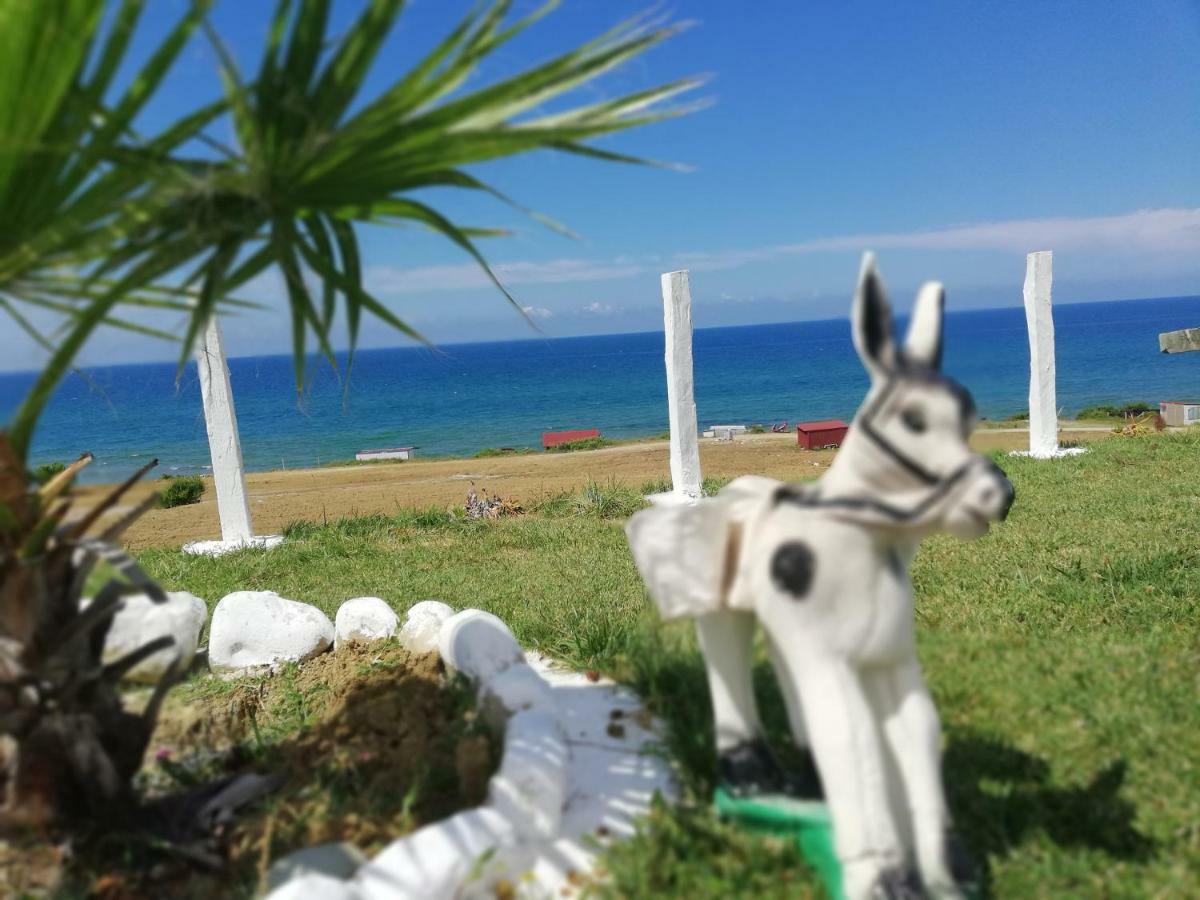 Perice Konak Sinop Luaran gambar